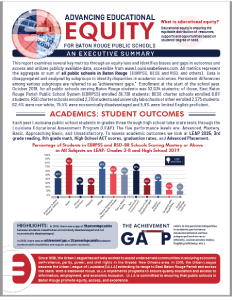 BR Equity Report Executive Summary 2019